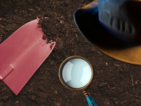 The Archaeology of poo!