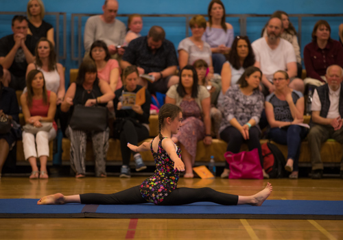Fun Gymnastics Sessions 