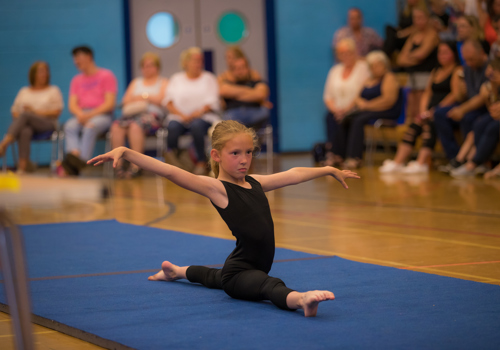 Gymnastics Club Ready 