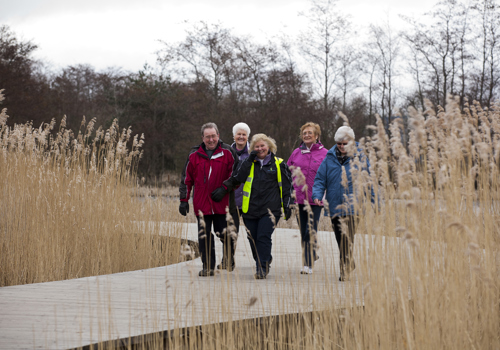 Brightons Walk