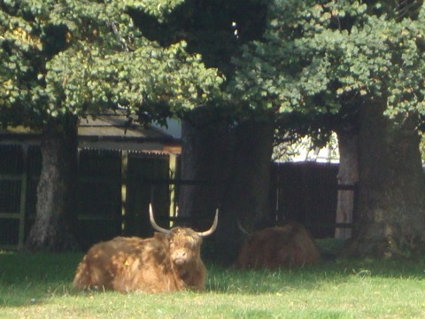 Saturday Carronshore Walk 