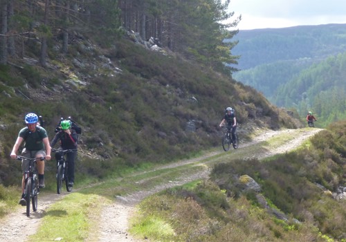 High Tops Walks - Meall na Fearna, Ben Vorlich, Stuc a' Chroin & Beinn Each - Bike Access