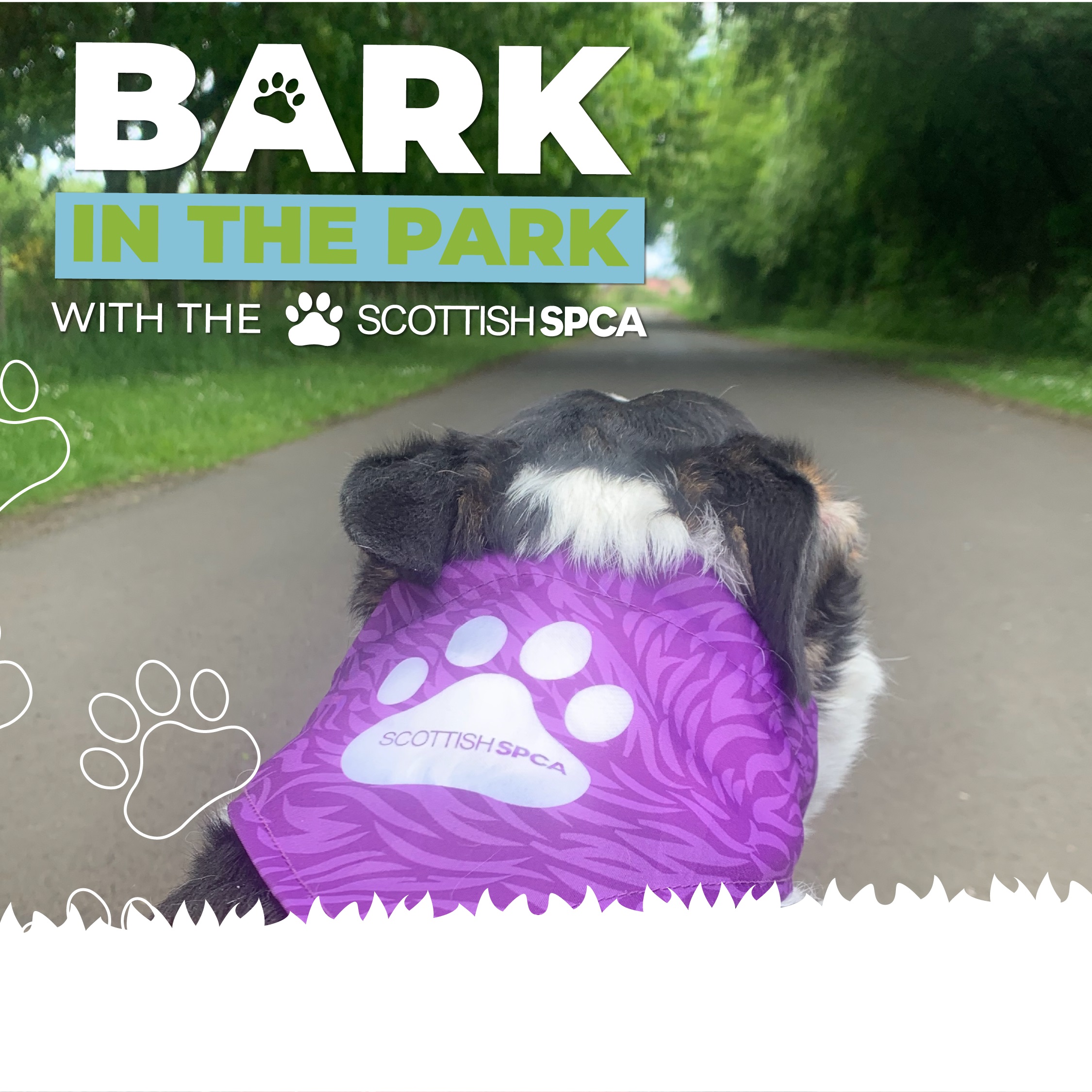 Bark in the Park Falkirk Council