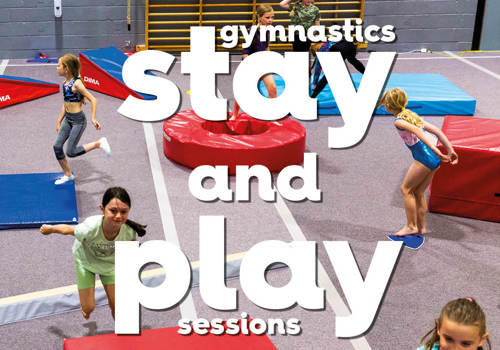 Gymnastics Stay and Play Sessions