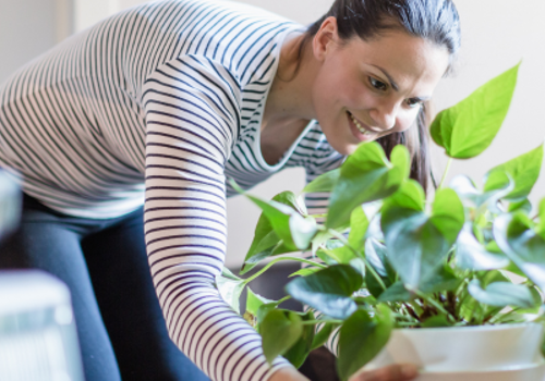 Gardening club