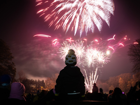 Fireworks 2026