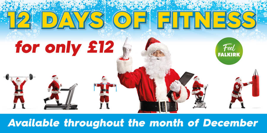 12 Days of Fitness