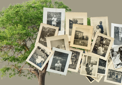 Family history session