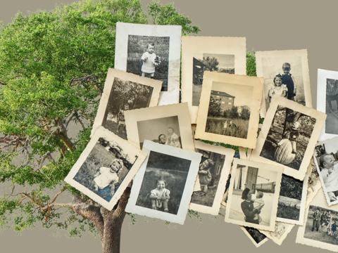 Family history session