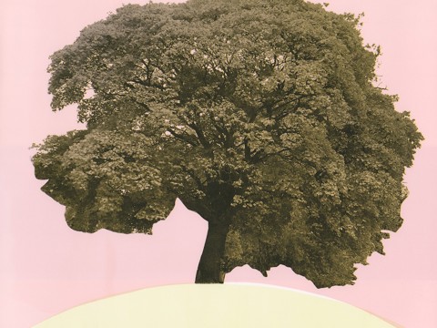 A Walk in the Park an exhibition by Joy Bain