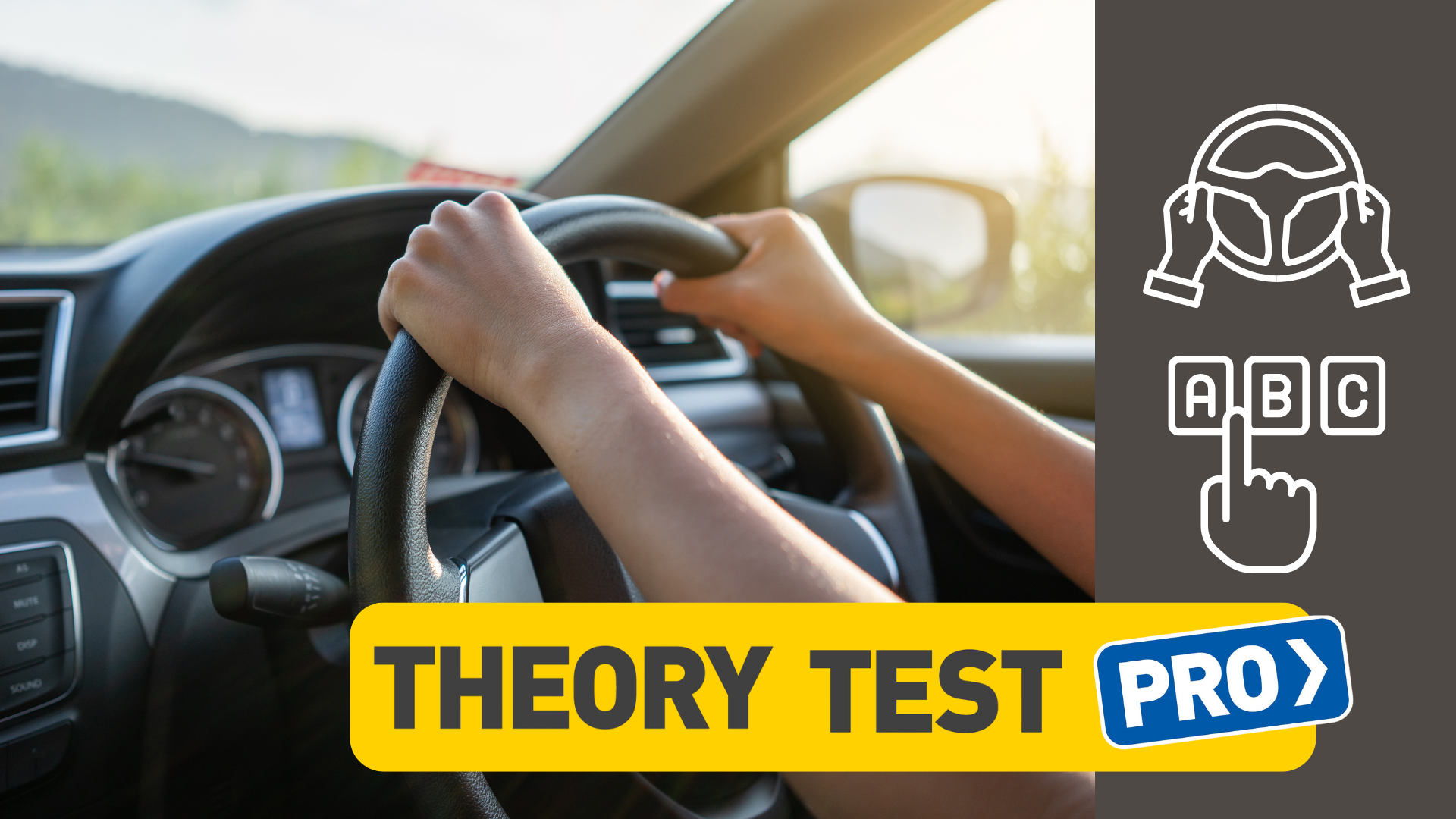 Theory Test Pro