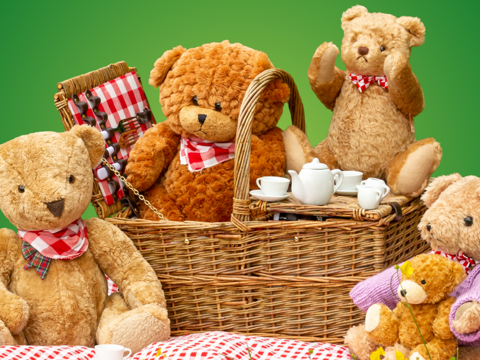 Teddy Bears' Storytime Picnic