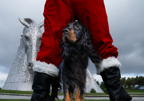 Santa Paws
