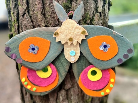 Winged Wonders: Eco Moths - Callendar House Creative Sessions