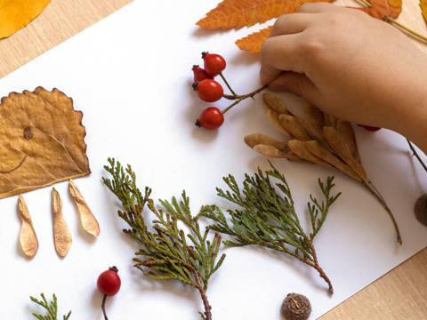 Autumn crafts