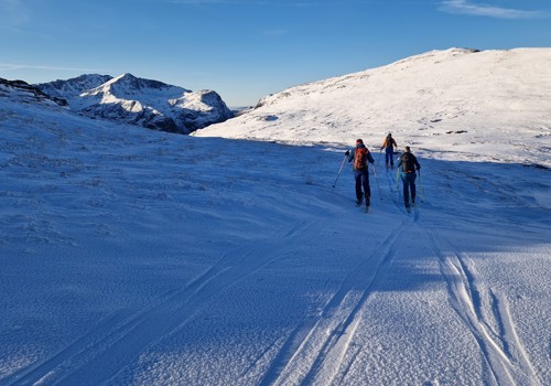 Guided Ski Touring 