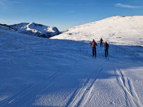 Guided Ski Touring 
