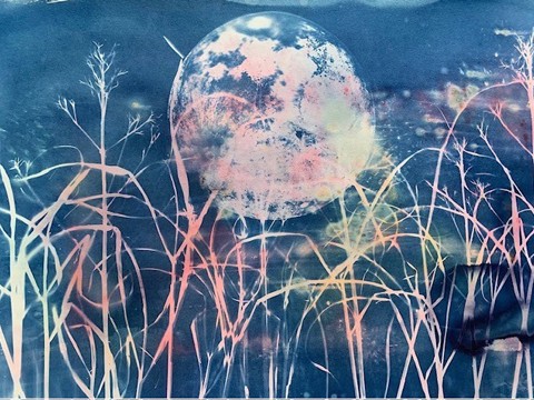 Exploring Cyanotype with Braw Artworks - Callendar House Creative Sessions