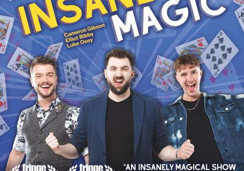 Shamilton: One Hour of Insane Magic