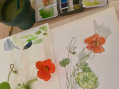 Botanical Flower Watercolours with Tessa Asquith Lamb - Callendar House Creative Sessions